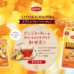 LIPTON FLAVOUR TEA Package